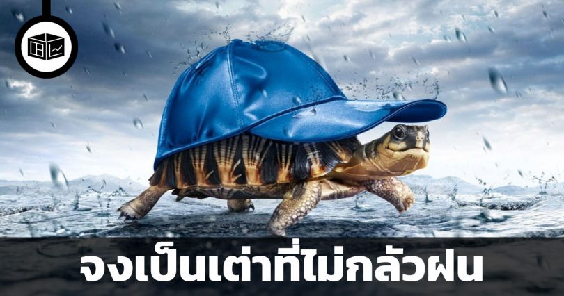 จงเป็นเต่าที่ไม่กลัวฝน