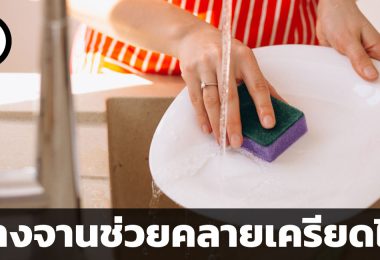 ล้างจานช่วยคลายเครียดได้