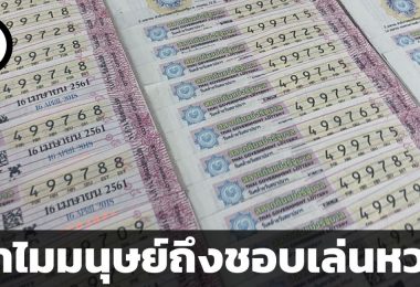 ทำไมมนุษย์ถึงชอบเล่นหวย