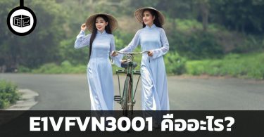 E1VFVN3001 คืออะไร