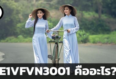 E1VFVN3001 คืออะไร