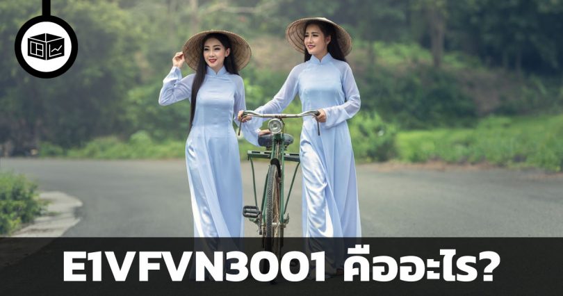 E1VFVN3001 คืออะไร
