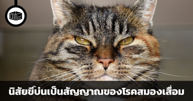 นิสัยขี้บ่นเป็นสัญญาณของโรคสมองเสื่อม