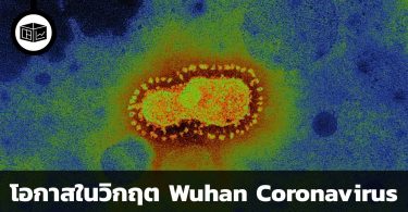 Wuhan Coronavirus