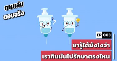 ยารู้ได้ยังไงว่า เรากินมันไปรักษาตรงไหน