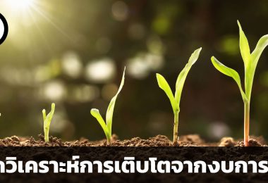 หลักวิเคราะห์การเติบโตจากงบการเงิน