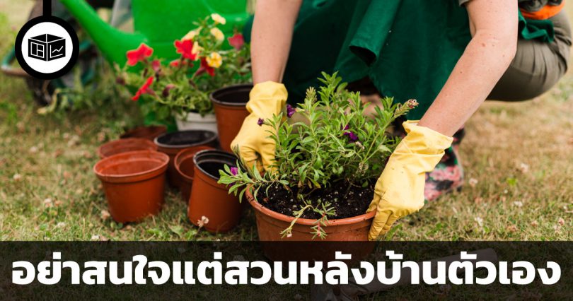 อย่าสนใจแต่สวนหลังบ้านตัวเอง