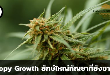 Canopy Growth หุ้นกัญชายักษ์ใหญ่ที่ยังคงขาดทุน