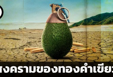 สงครามอะโวคาโด