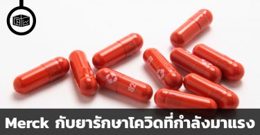 ยารักษาโควิดของ Merck กับห่านทองคำที่ไม่ได้มีตัวเดียว