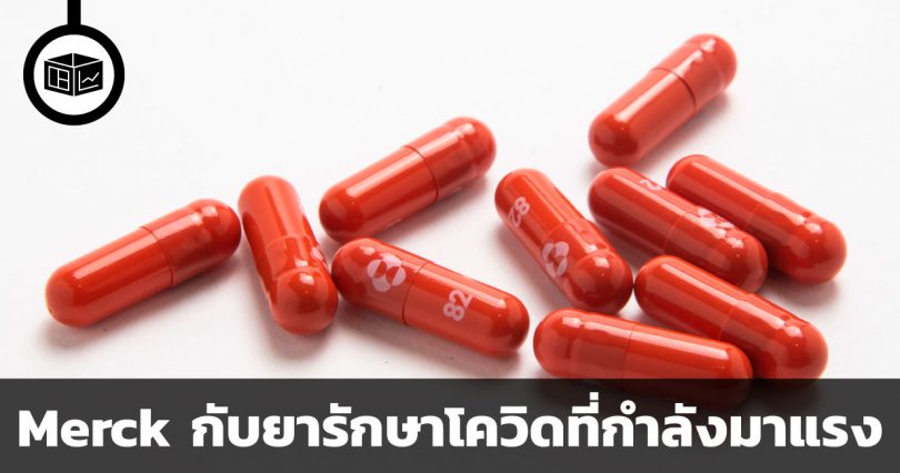 ยารักษาโควิดของ Merck กับห่านทองคำที่ไม่ได้มีตัวเดียว