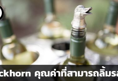 Duckhorn Portfolio Inc บริษัทไวน์ที่กำลังเติบโตและมอบคุณค่าหลากมิติ
