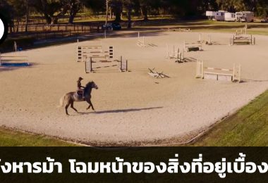 Horse Hitman