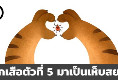 ไทยกับการเป็นเสือตัวที่ห้าแห่งเอเชียคืออะไร ทำไมไม่เกิดขึ้น แล้วอะไรคือเห็บสยาม