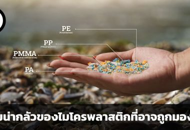 ทำไมปัญหาไมโครพลาสติกถึงน่ากลัว