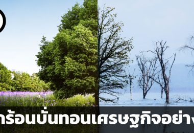 โลกร้อนบั่นทอนเศรษฐกิจอย่างไร