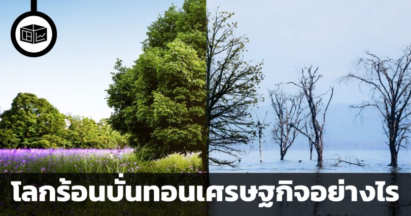 โลกร้อนบั่นทอนเศรษฐกิจอย่างไร