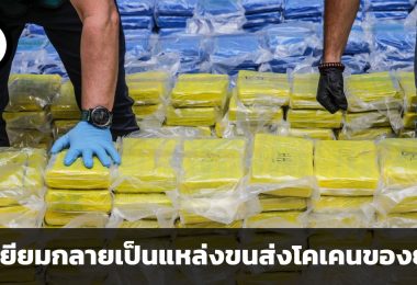 เหตุใดเบลเยียมจึงกลายเป็นแหล่งขนส่งโคเคนของยุโรป