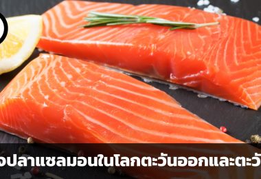 ธุรกิจปลาแซลมอน การแข่งขันทางเศรษฐกิจระหว่างฝั่งตะวันออกของโลก และฝั่งตะวันตกของโลก