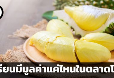 คุณค่าที่ซ่อนไว้ใต้หนามแหลม ทุเรียนมีมูลค่าแค่ไหนในตลาดโลก