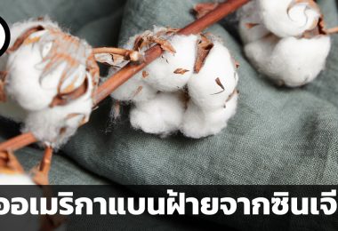 กลศึกในสงครามสิ่งทอ อเมริกาประสบความสำเร็จแค่ไหนในการแบนฝ้ายซินเจียง