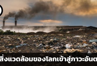 เมื่อสิ่งแวดล้อมของโลกเข้าสู่ภาวะอันตราย ศึกษาการปรับตัวทางเศรษฐกิจ และธุรกิจที่เกี่ยวข้องกับสิ่งแวดล้อม ในวันที่ภาวะโลกร้อนกำลังเข้าสู่โหมดรุนแรง