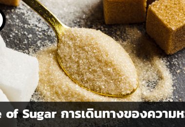 Life of Sugar การเดินทางของความหวาน