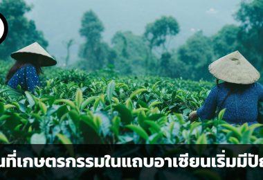จะพัฒนาอย่างไร ในวันที่เกษตรกรรมในแถบเอเชียตะวันออกเฉียงใต้เริ่มมีปัญหา