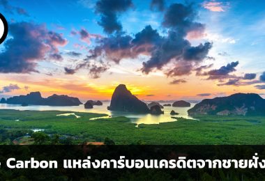 ทำความรู้จัก Blue Carbon แหล่งคาร์บอนเครดิตจากชายฝั่งทะเล และทิศทางของการสร้างเศรษฐกิจในอนาคต