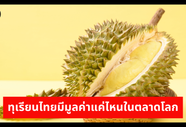 ทุเรียนไทยมีมูลค่าแค่ไหนในตลาดโลก 