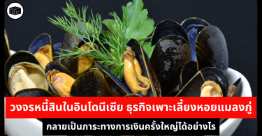 วงจรหนี้สินในอินโดนีเซีย ธุรกิจเพาะเลี้ยงหอยแมลงภู่กลายเป็นภาระทางการเงินครั้งใหญ่ได้อย่างไร 