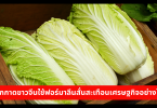 ผักกาดขาวจีนใช้ฟอร์มาลีนสั่นสะเทือนเศรษฐกิจอย่างไร