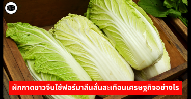 ผักกาดขาวจีนใช้ฟอร์มาลีนสั่นสะเทือนเศรษฐกิจอย่างไร