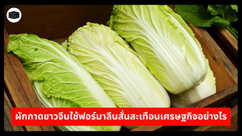 ผักกาดขาวจีนใช้ฟอร์มาลีนสั่นสะเทือนเศรษฐกิจอย่างไร